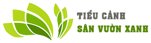 Tiểu cảnh sân vườn xanh