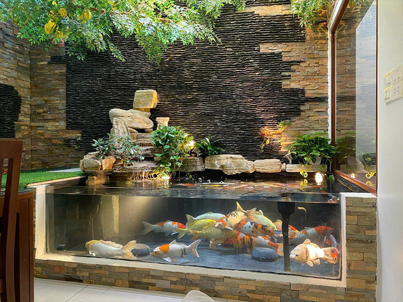 Thi công hồ cá Koi mini trọn gói