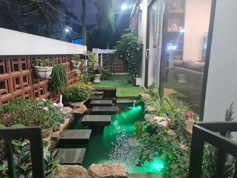 Mẫu hồ cá Koi đẹp