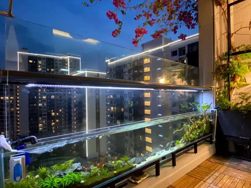 Thi công hồ cá koi ban công chung cư