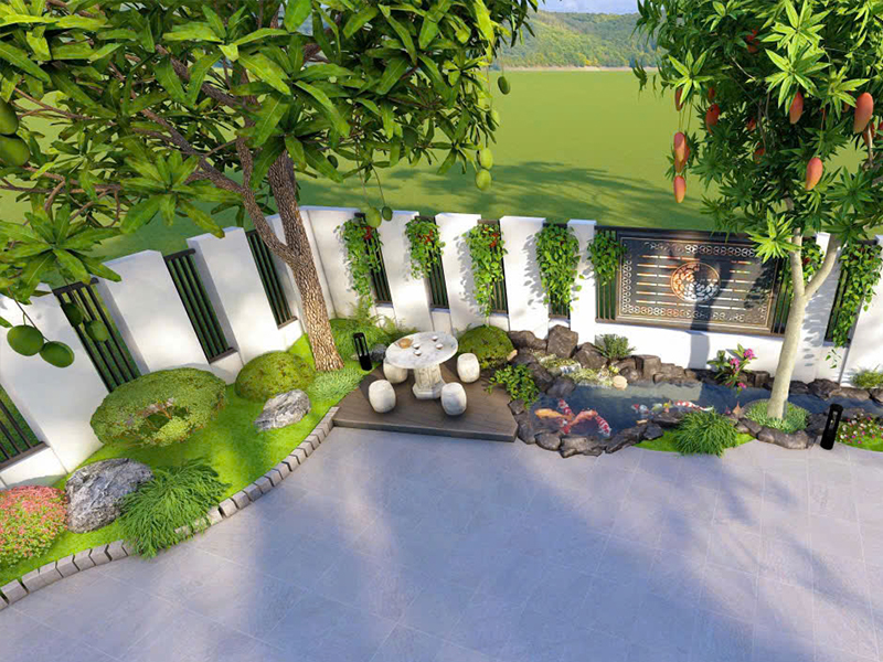 Thi công tiểu cảnh hồ cá Koi